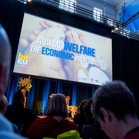 Call to Care for Animal Welfare