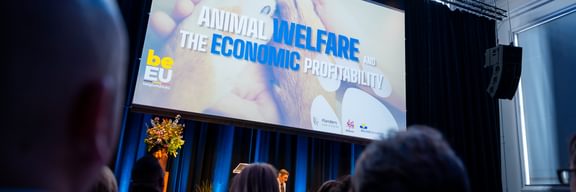 Call to Care for Animal Welfare