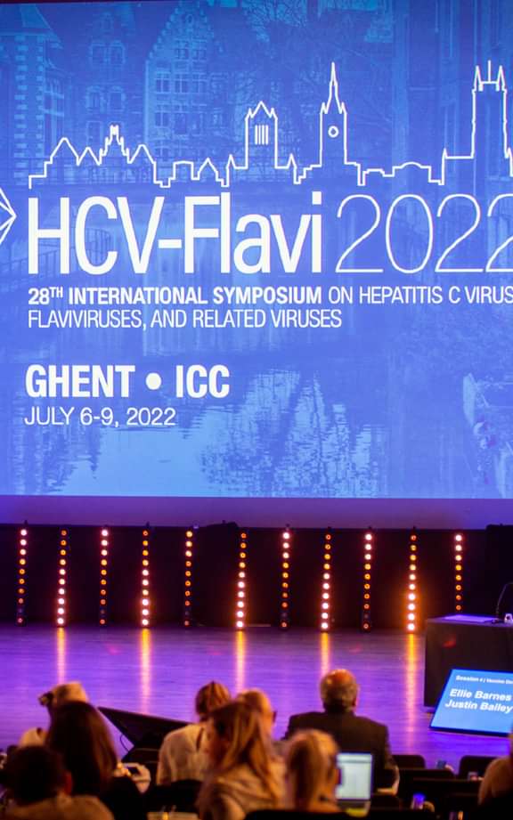 Runmate hcvflavi8